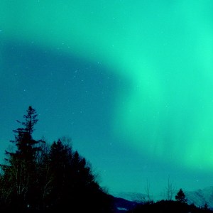 Old Wyoming - Your Violent Nature